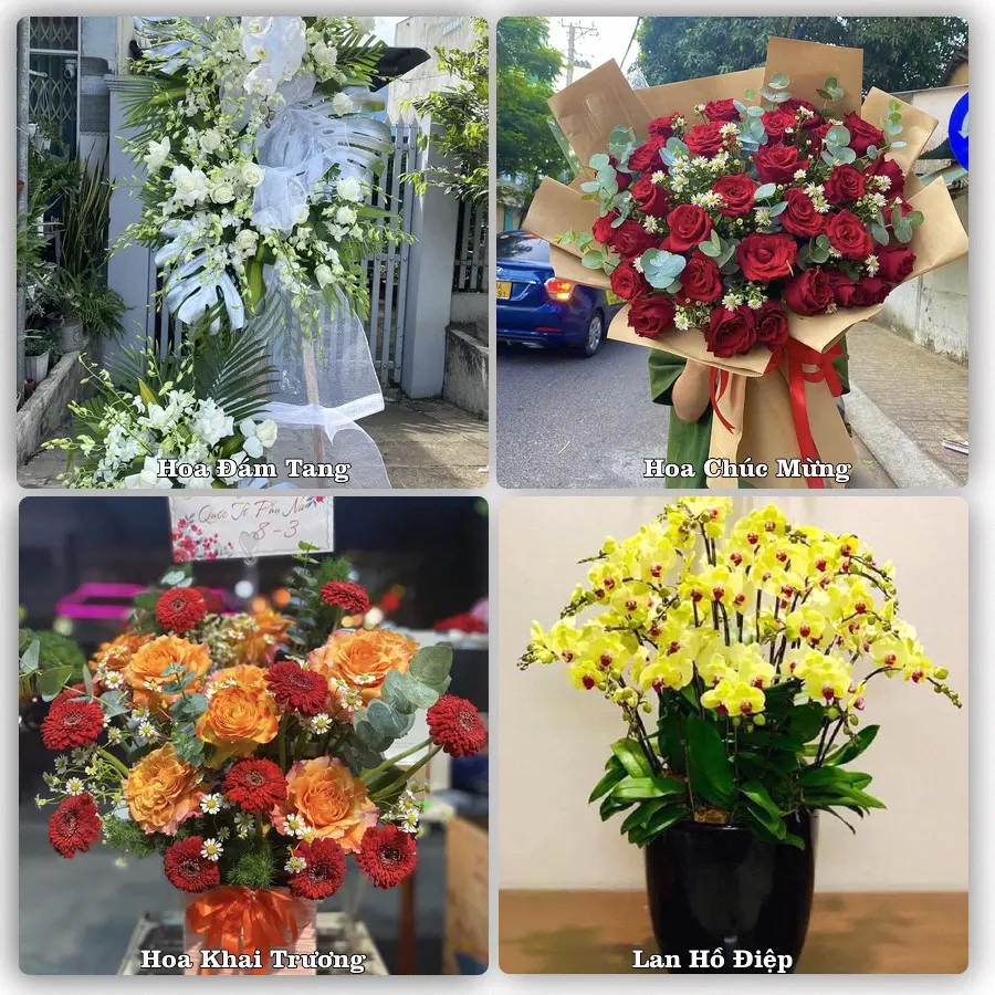 Mẫu hoa phục vụ nhu cầu đặt hoa tại Xã An Thạnh Thủy - Tỉnh Đồng Tháp
