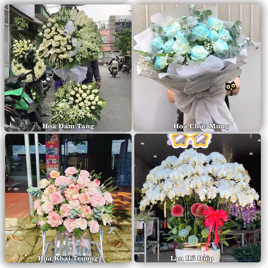Tư vấn chọn hoa theo người nhận và dịp tặng tại Xã An Thạnh Thủy - Tỉnh Đồng Tháp