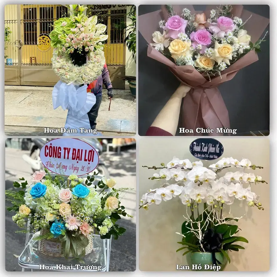 Dịch vụ đặt hoa và giao tận nơi tại Xã Đức Thịnh - Tỉnh Hà Tĩnh