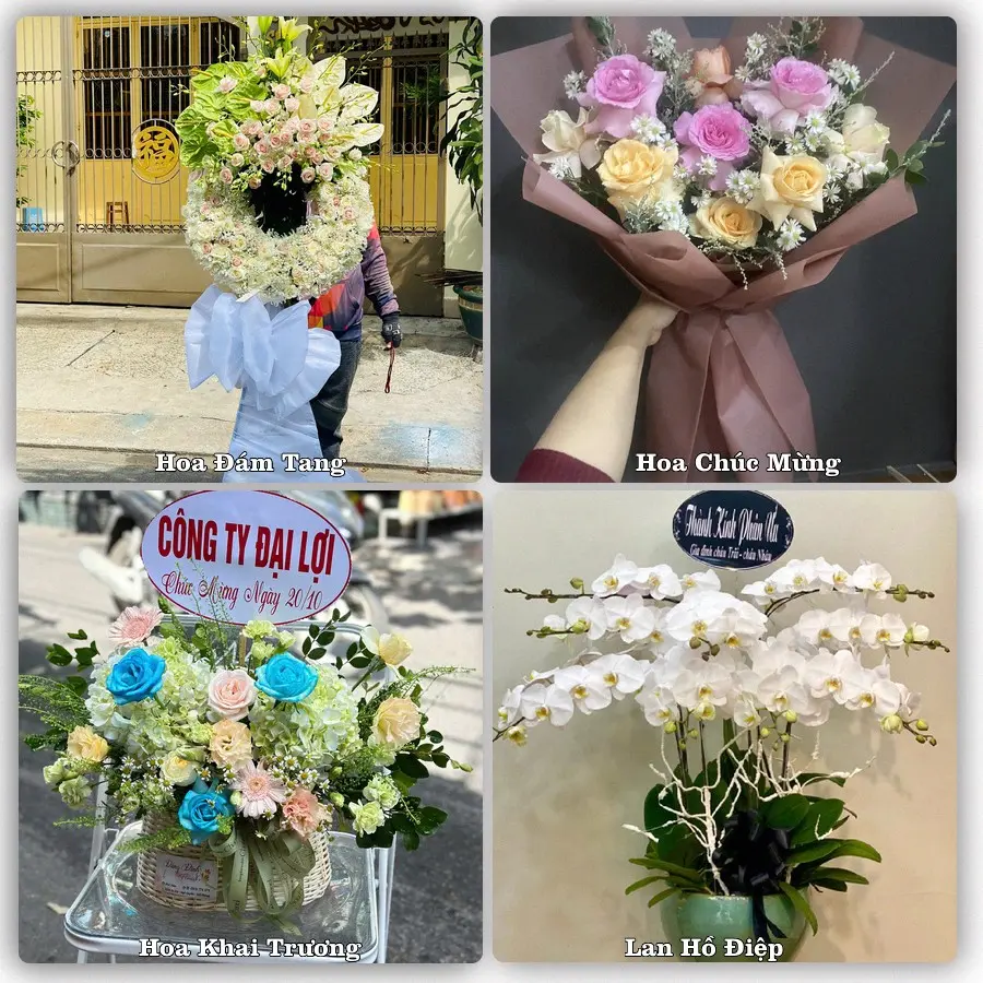 Dịch vụ đặt hoa và giao tận nơi tại Xã Đức Thịnh - Tỉnh Hà Tĩnh