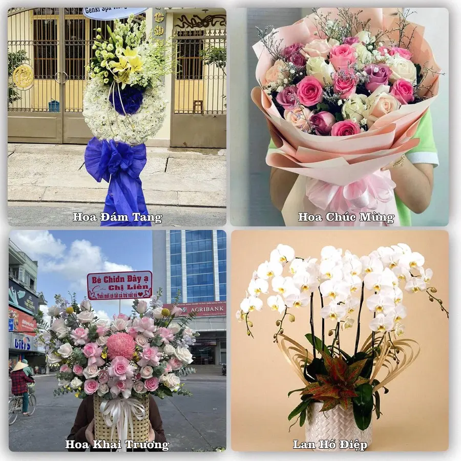 Mẫu hoa phục vụ nhu cầu đặt hoa tại Xã Đức Thịnh - Tỉnh Hà Tĩnh