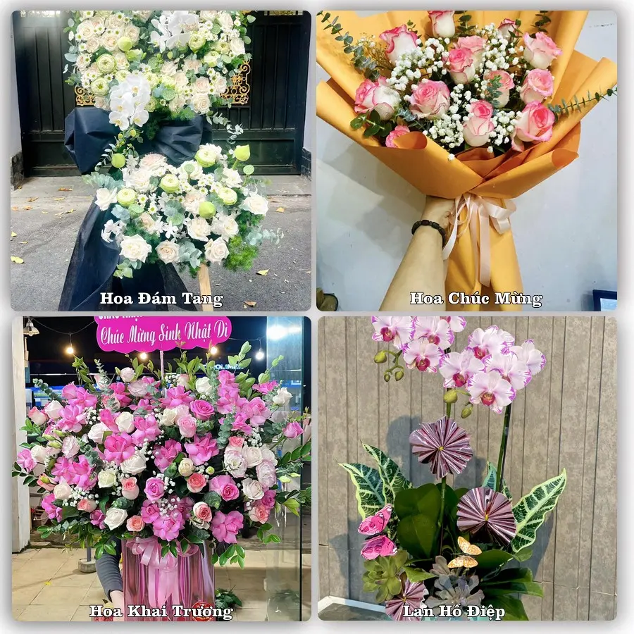 Tư vấn chọn hoa theo người nhận và dịp tặng tại Xã Đức Thịnh - Tỉnh Hà Tĩnh