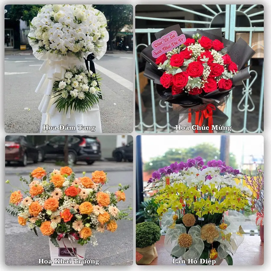 Mẫu hoa phục vụ nhu cầu đặt hoa tại Xã Gia Phúc - Thành phố Hải Phòng