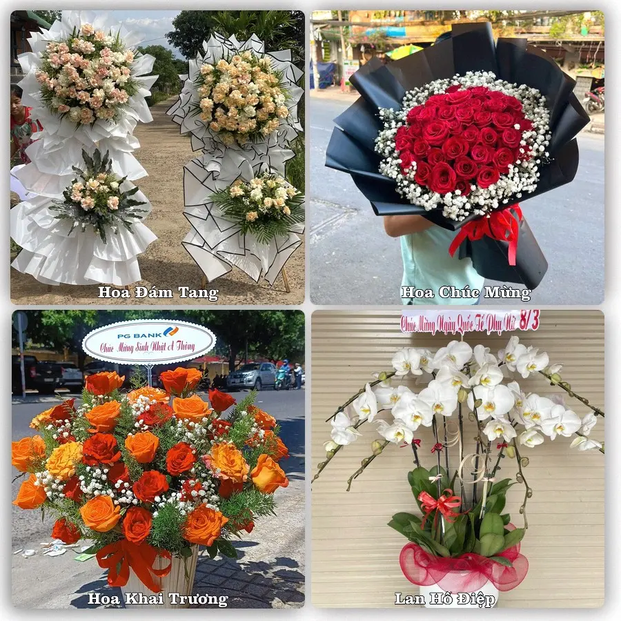 Tư vấn chọn hoa theo người nhận và dịp tặng tại Xã Gia Phúc - Thành phố Hải Phòng