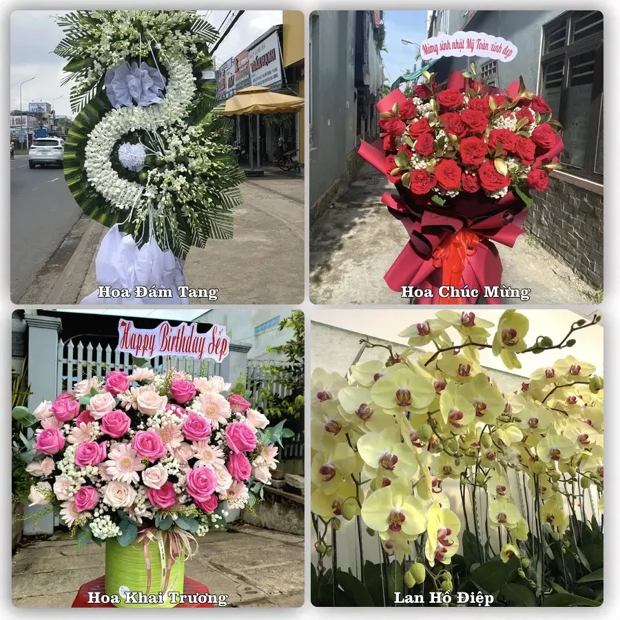 Shop hoa tươi Phường Hạ Long, Quảng Ninh – đặt hoa theo dịp, giao tận nơi