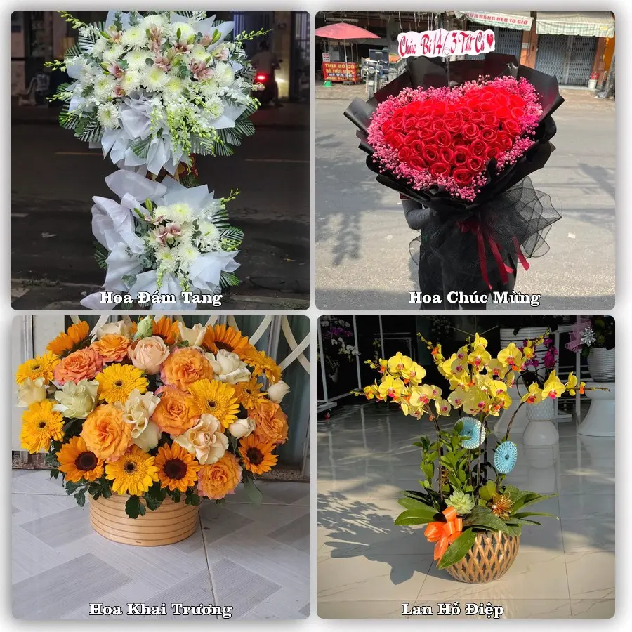 Tư vấn chọn hoa theo người nhận và dịp tặng tại Phường Hạ Long - Tỉnh Quảng Ninh