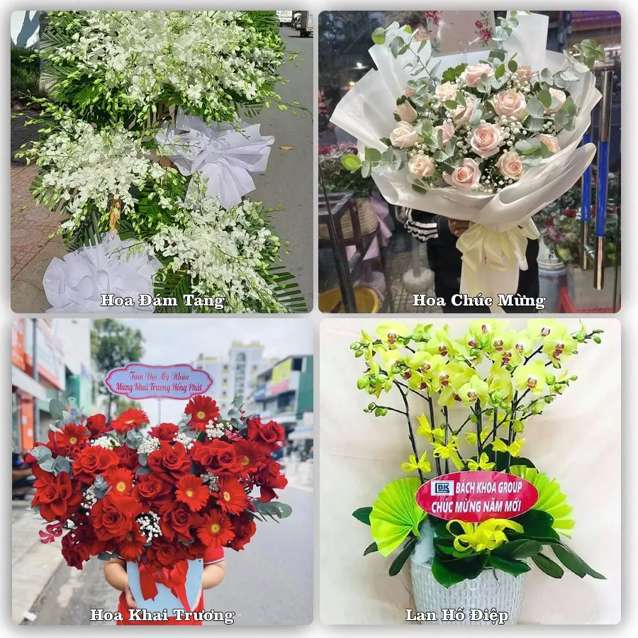 Mẫu hoa phục vụ nhu cầu đặt hoa tại Xã Hợp Thịnh - Tỉnh Bắc Ninh