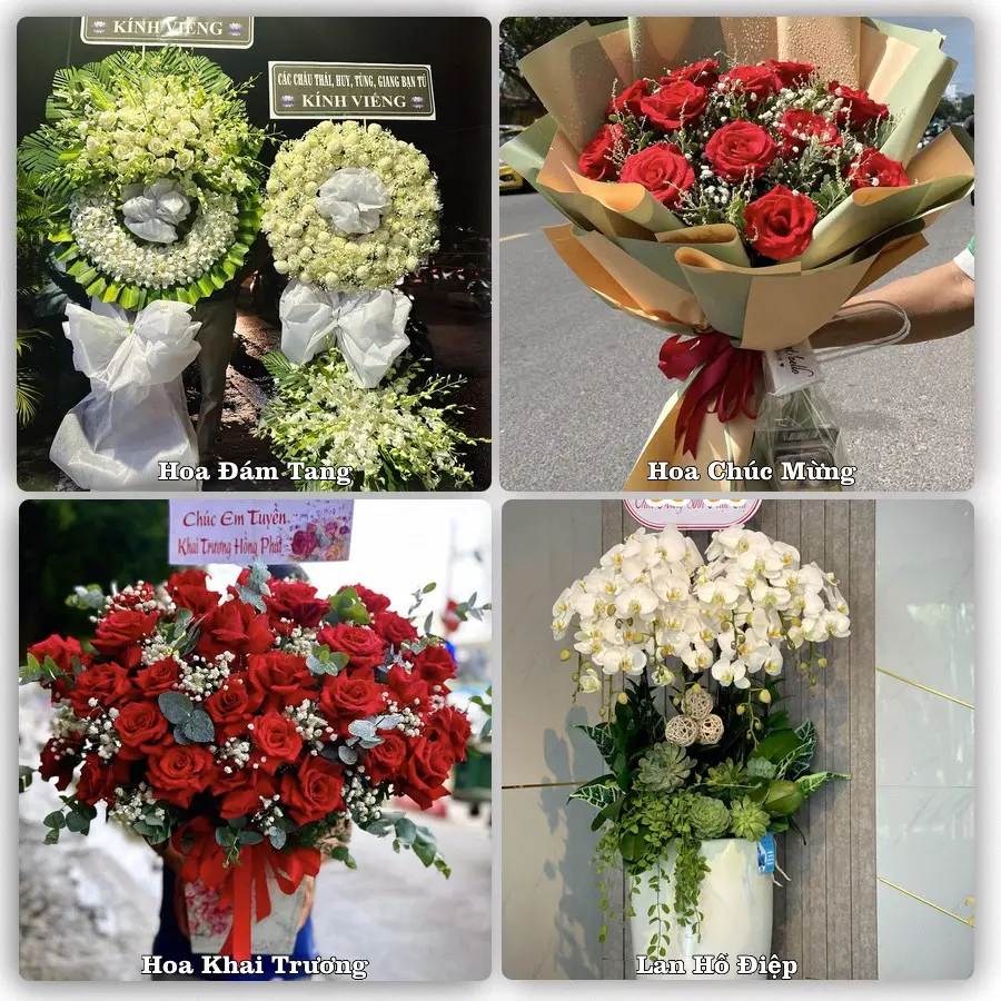 Dịch vụ đặt hoa và giao tận nơi tại Xã Kim Thành - Thành phố Hải Phòng