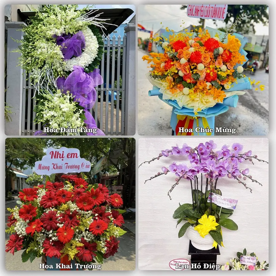 Tư vấn chọn hoa theo người nhận và dịp tặng tại Xã Kim Thành - Thành phố Hải Phòng
