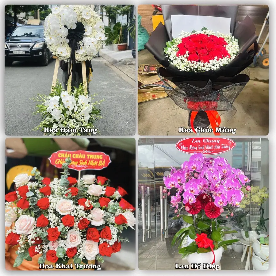 Dịch vụ đặt hoa và giao tận nơi tại Xã Krông Pắc - Tỉnh Đắk Lắk