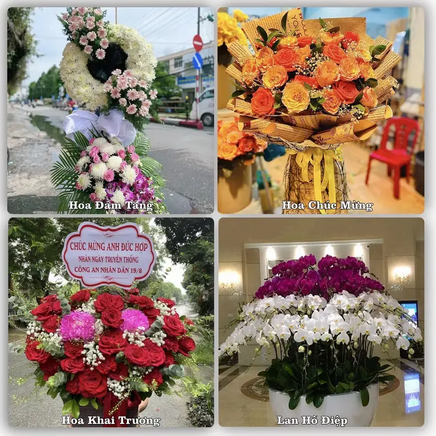 Đặt hoa tại Phường Nam Hoa Lư, Ninh Bình – giao tận nơi, duyệt mẫu trước