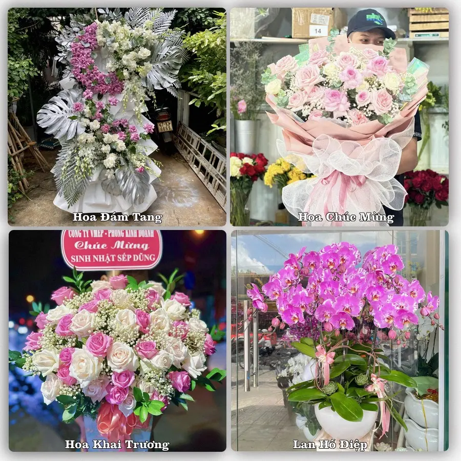 Tư vấn chọn hoa theo người nhận và dịp tặng tại Phường Nam Hoa Lư - Tỉnh Ninh Bình