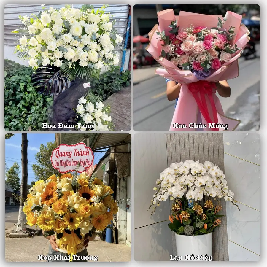 Mẫu hoa phục vụ nhu cầu đặt hoa tại Xã Quỳnh Lưu - Tỉnh Nghệ An