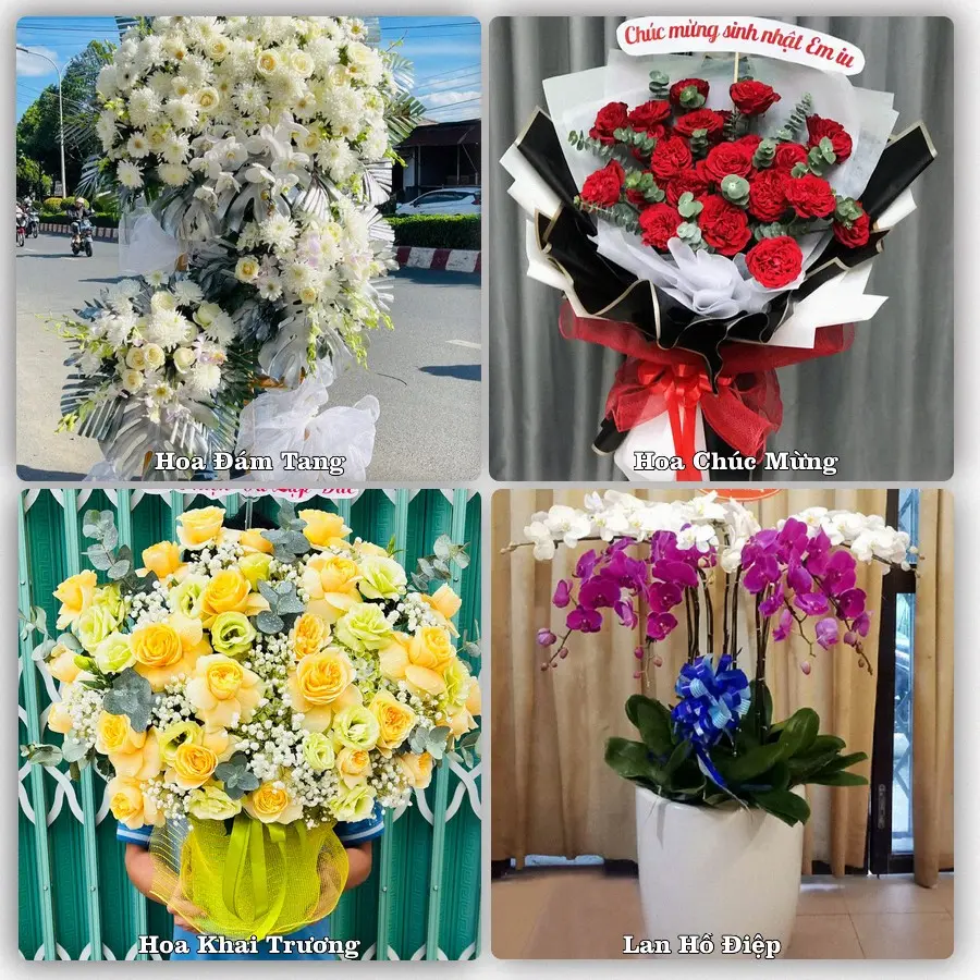 Tư vấn chọn hoa theo người nhận và dịp tặng tại Xã Quỳnh Lưu - Tỉnh Nghệ An