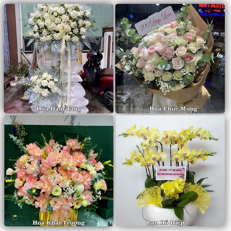 Dịch vụ đặt hoa và giao tận nơi tại Xã Vĩnh Bảo - Thành phố Hải Phòng