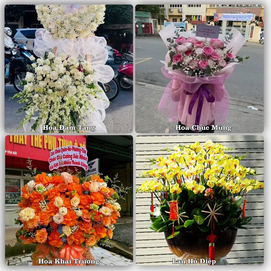 Tư vấn chọn hoa theo người nhận và dịp tặng tại Xã Vĩnh Bảo - Thành phố Hải Phòng