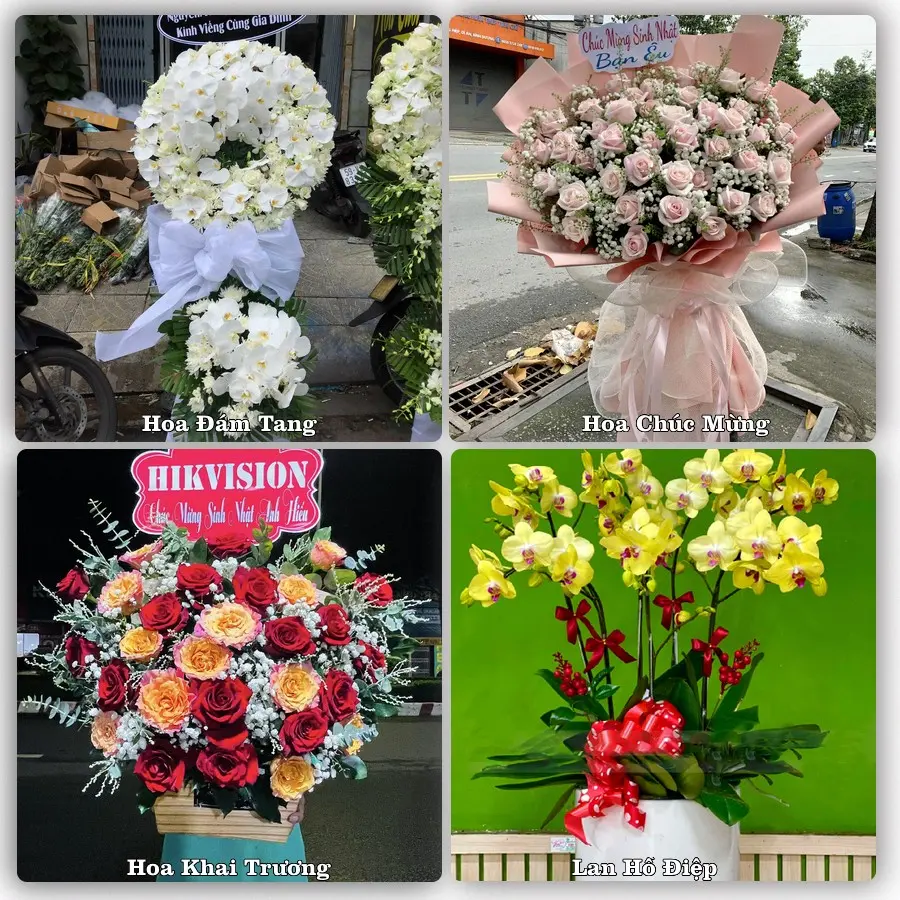 Tư vấn chọn hoa theo người nhận và dịp tặng tại Phường Bình Quới - Thành phố Hồ Chí Minh