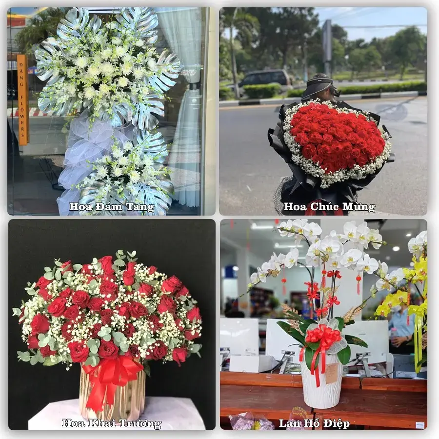 Shop hoa tươi Phường Cửa Lò, Nghệ An – đặt hoa theo dịp, giao tận nơi