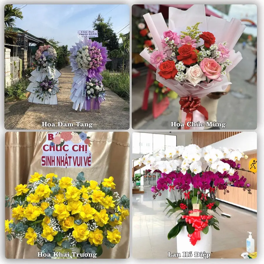 Mẫu hoa phục vụ nhu cầu đặt hoa tại Phường Đông Thành - Tỉnh Vĩnh Long