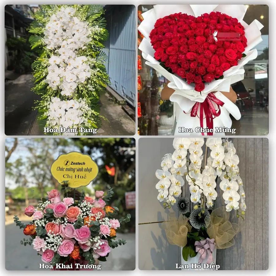 Tư vấn chọn hoa theo người nhận và dịp tặng tại Phường Đông Thành - Tỉnh Vĩnh Long