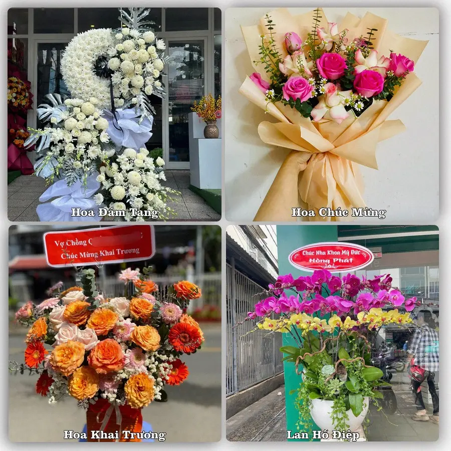 Tư vấn chọn hoa theo người nhận và dịp tặng tại Phường Đồng Thuận - Tỉnh Quảng Trị