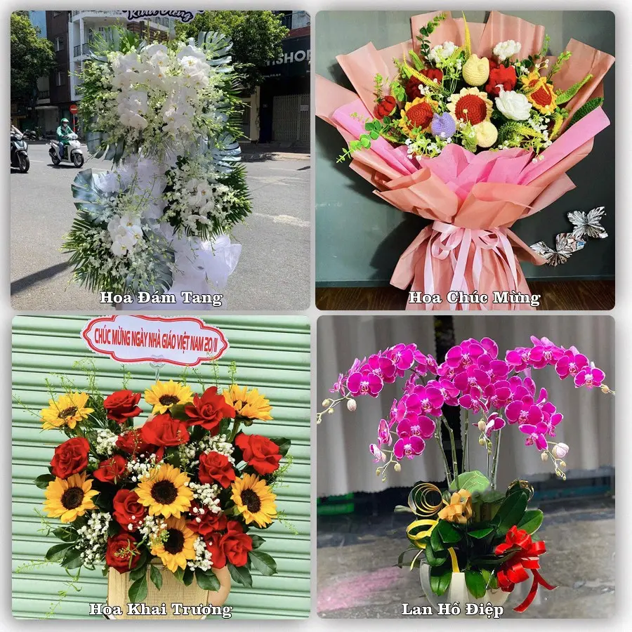 Tư vấn chọn hoa theo người nhận và dịp tặng tại Xã Hậu Lộc - Tỉnh Thanh Hóa
