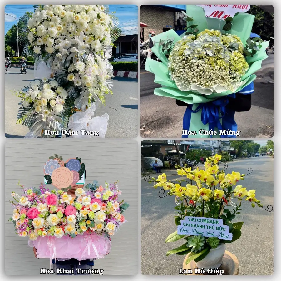 Tư vấn chọn hoa theo người nhận và dịp tặng tại Xã Lấp Vò - Tỉnh Đồng Tháp