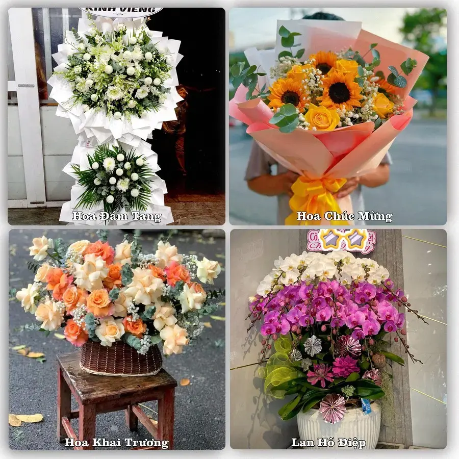 Tiệm hoa Phường Tân Lập, Đắk Lắk – chọn hoa theo người nhận và dịp