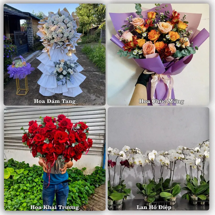 Mẫu hoa phục vụ nhu cầu đặt hoa tại Xã Thạnh Lộc - Tỉnh An Giang