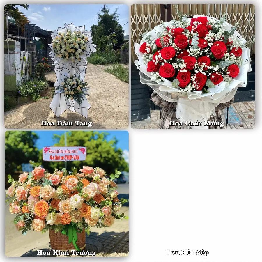 Tư vấn chọn hoa theo người nhận và dịp tặng tại Xã Thuần Trung - Tỉnh Nghệ An
