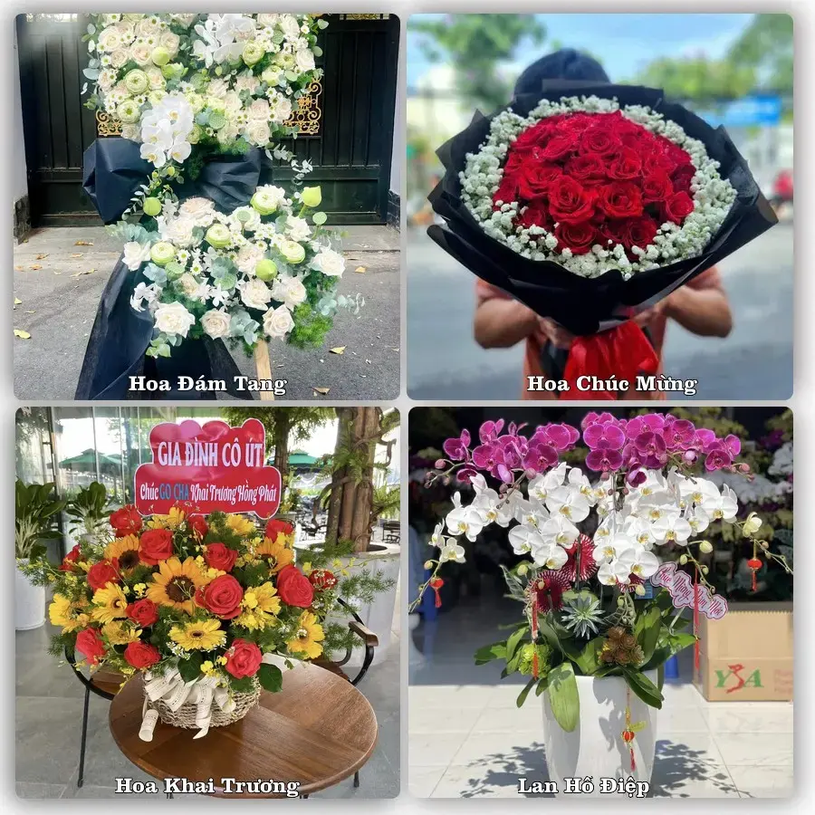 Shop hoa tươi Phường Tĩnh Gia, Thanh Hóa – đặt hoa theo dịp, giao tận nơi