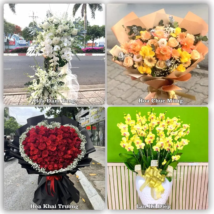 Tư vấn chọn hoa theo người nhận và dịp tặng tại Phường Tĩnh Gia - Tỉnh Thanh Hóa