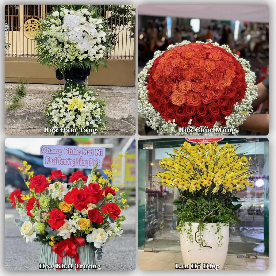 Dịch vụ đặt hoa và giao tận nơi tại Phường Tứ Minh - Thành phố Hải Phòng