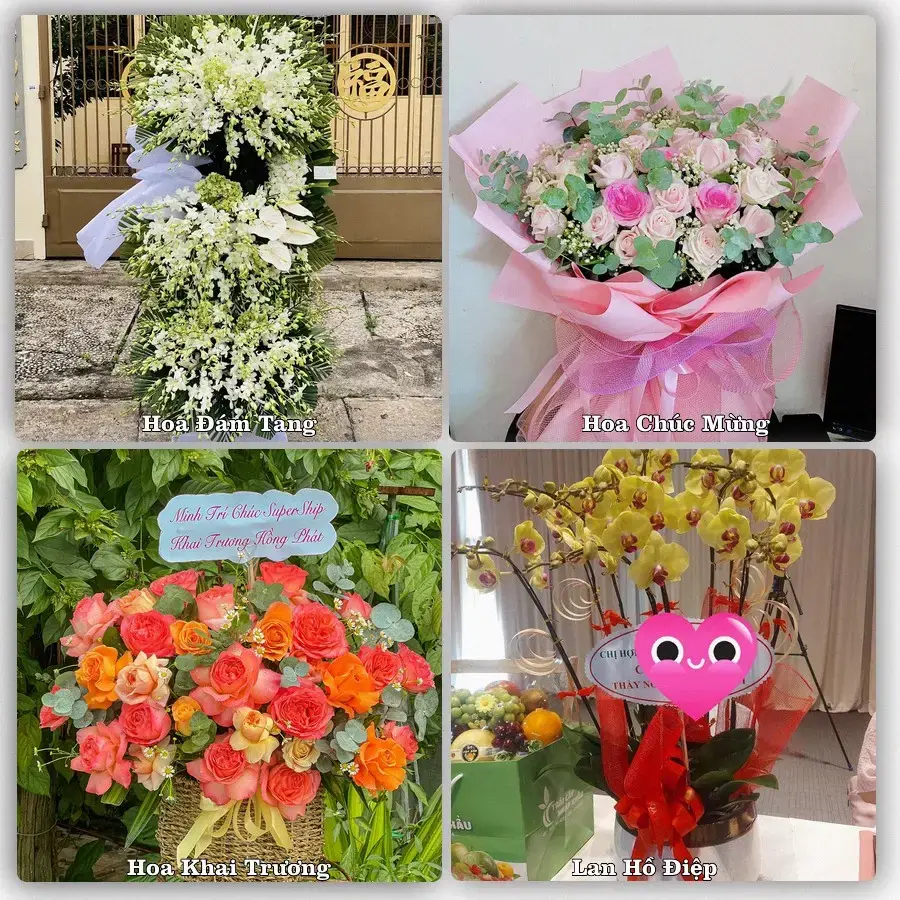 Mẫu hoa phục vụ nhu cầu đặt hoa tại Xã Tuy Phước - Tỉnh Gia Lai