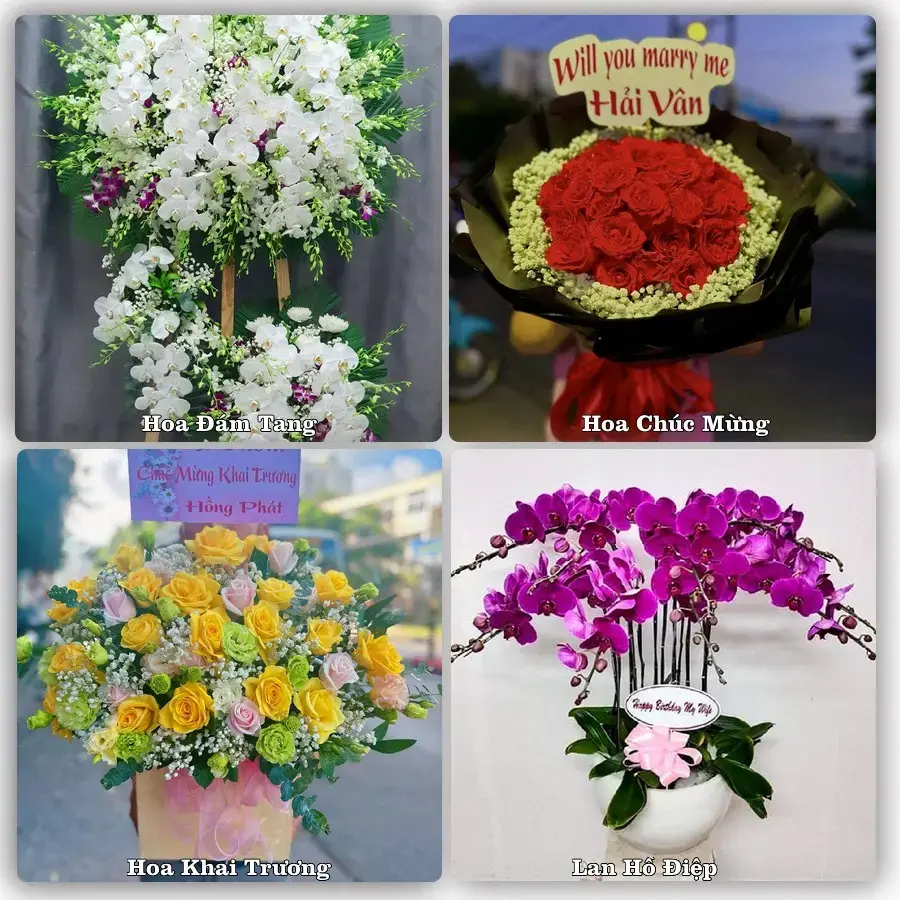 Tư vấn chọn hoa theo người nhận và dịp tặng tại Xã Tuy Phước - Tỉnh Gia Lai