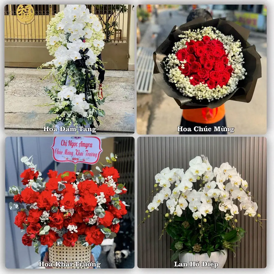 Mẫu hoa phục vụ nhu cầu đặt hoa tại Phường Bảo An - Tỉnh Khánh Hòa