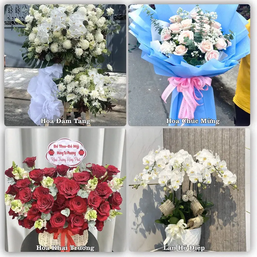 Tư vấn chọn hoa theo người nhận và dịp tặng tại Phường Bảo An - Tỉnh Khánh Hòa
