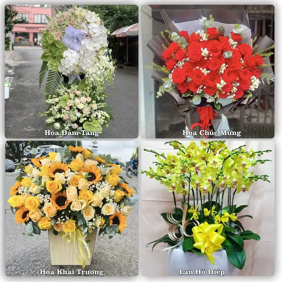 Tư vấn chọn hoa theo người nhận và dịp tặng tại Phường Đông Hòa - Tỉnh Đắk Lắk