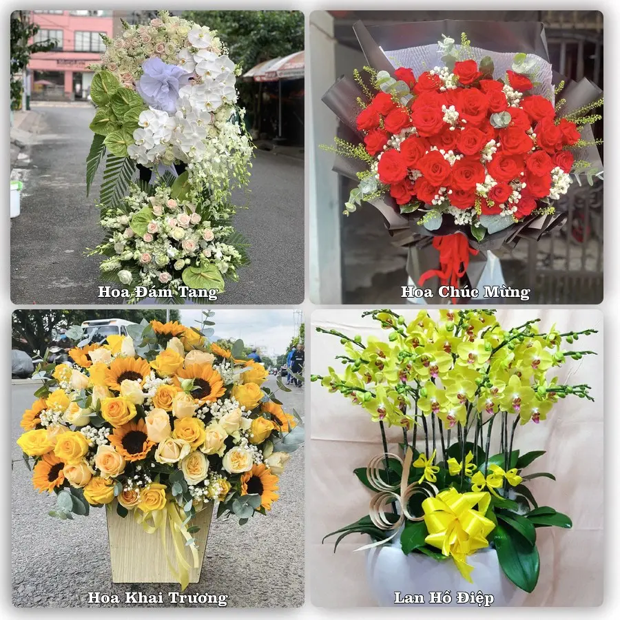 Tư vấn chọn hoa theo người nhận và dịp tặng tại Phường Đông Hòa - Tỉnh Đắk Lắk