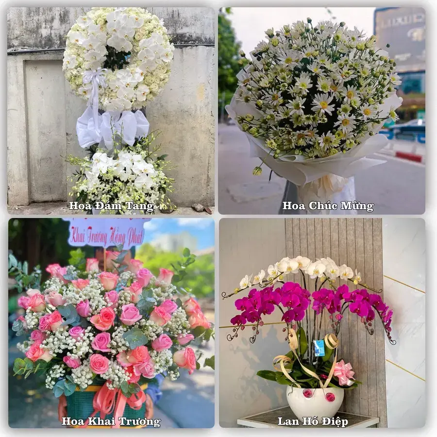 Tư vấn chọn hoa theo người nhận và dịp tặng tại Phường Đông Hoa Lư - Tỉnh Ninh Bình