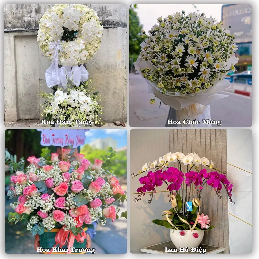 Tư vấn chọn hoa theo người nhận và dịp tặng tại Phường Đông Hoa Lư - Tỉnh Ninh Bình