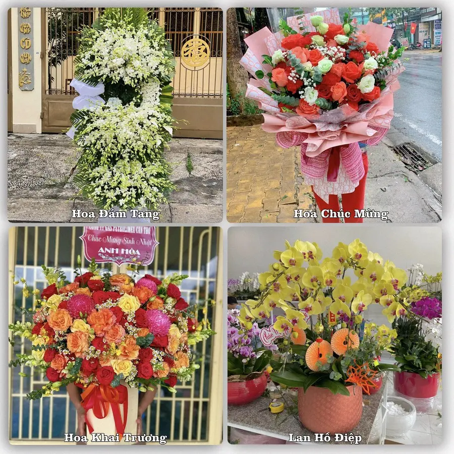 Tư vấn chọn hoa theo người nhận và dịp tặng tại Xã Hòa Xá - Thành phố Hà Nội