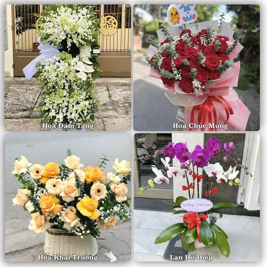 Mẫu hoa phục vụ nhu cầu đặt hoa tại Xã Hoằng Thanh - Tỉnh Thanh Hóa