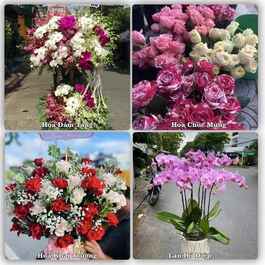 Tư vấn chọn hoa theo người nhận và dịp tặng tại Xã Lai Vung - Tỉnh Đồng Tháp