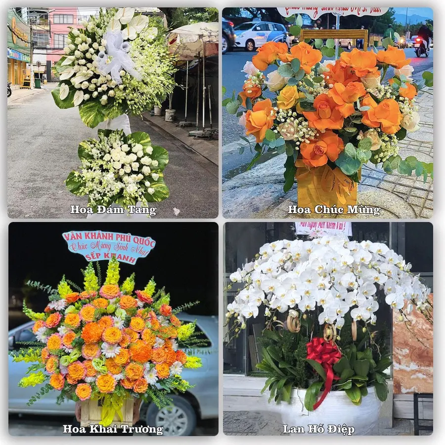 Tư vấn chọn hoa theo người nhận và dịp tặng tại Xã Long Phú Thuận - Tỉnh Đồng Tháp
