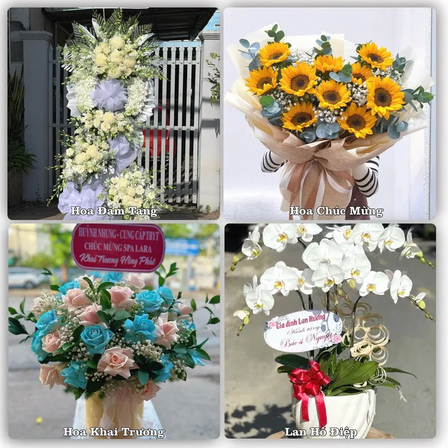 Tư vấn chọn hoa theo người nhận và dịp tặng tại Phường Ô Môn - Thành phố Cần Thơ