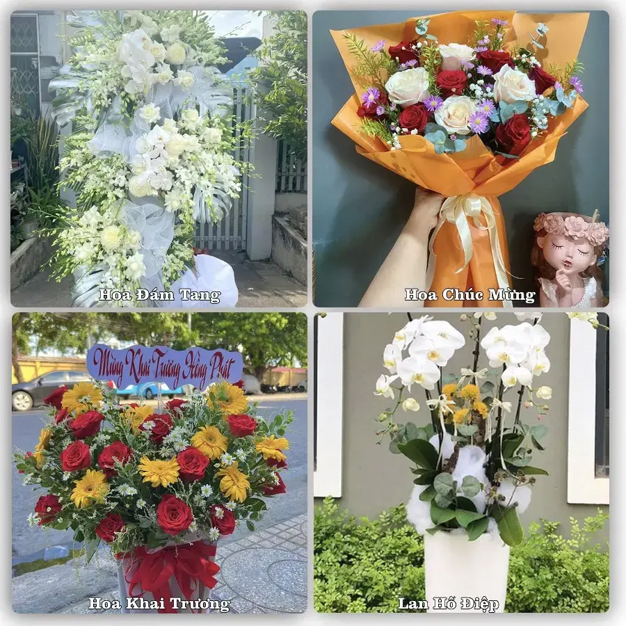 Tư vấn chọn hoa theo người nhận và dịp tặng tại Xã Phú Túc - Tỉnh Vĩnh Long