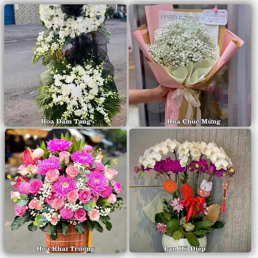 Shop hoa tươi Phường Quảng Phú, Thanh Hóa – đặt hoa theo dịp, giao tận nơi
