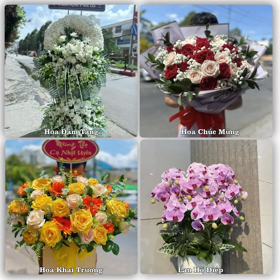 Tư vấn chọn hoa theo người nhận và dịp tặng tại Phường Quảng Phú - Tỉnh Thanh Hóa