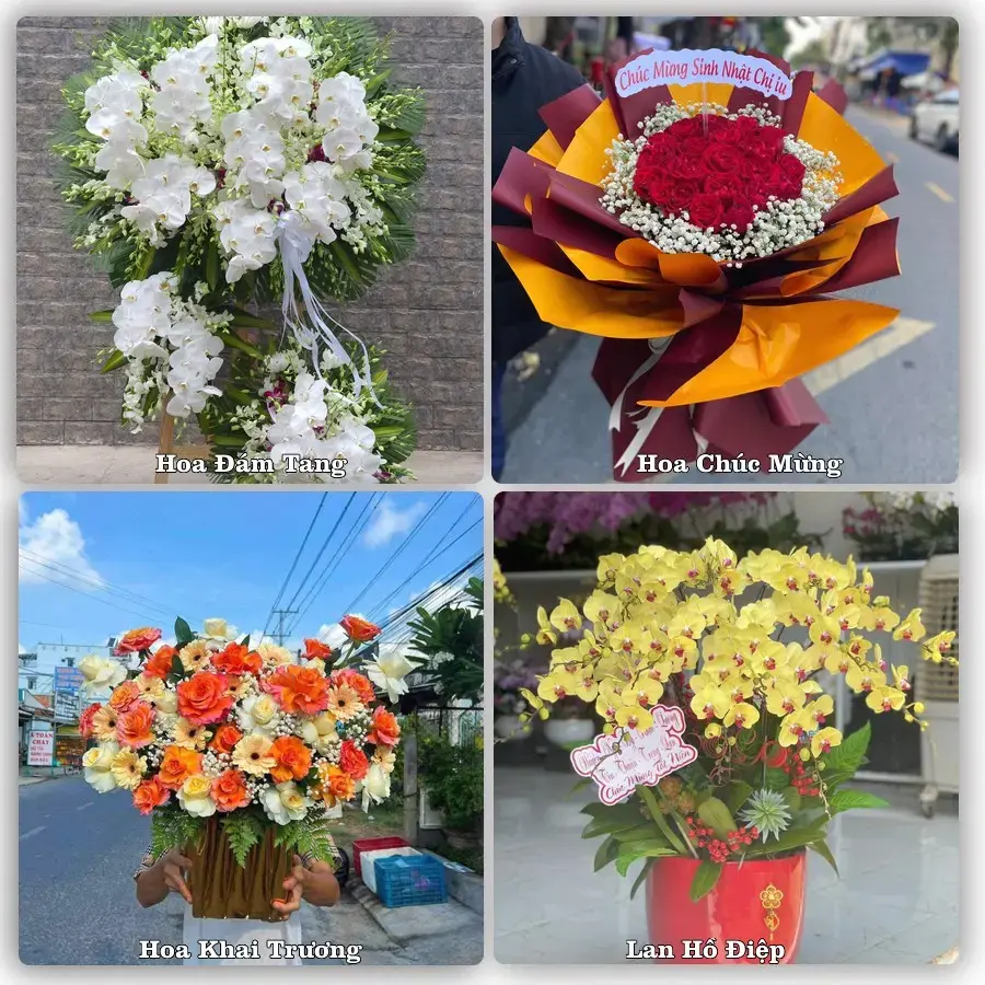 Giao hoa tươi tại Xã Triệu Sơn, Thanh Hóa – đặt mẫu online